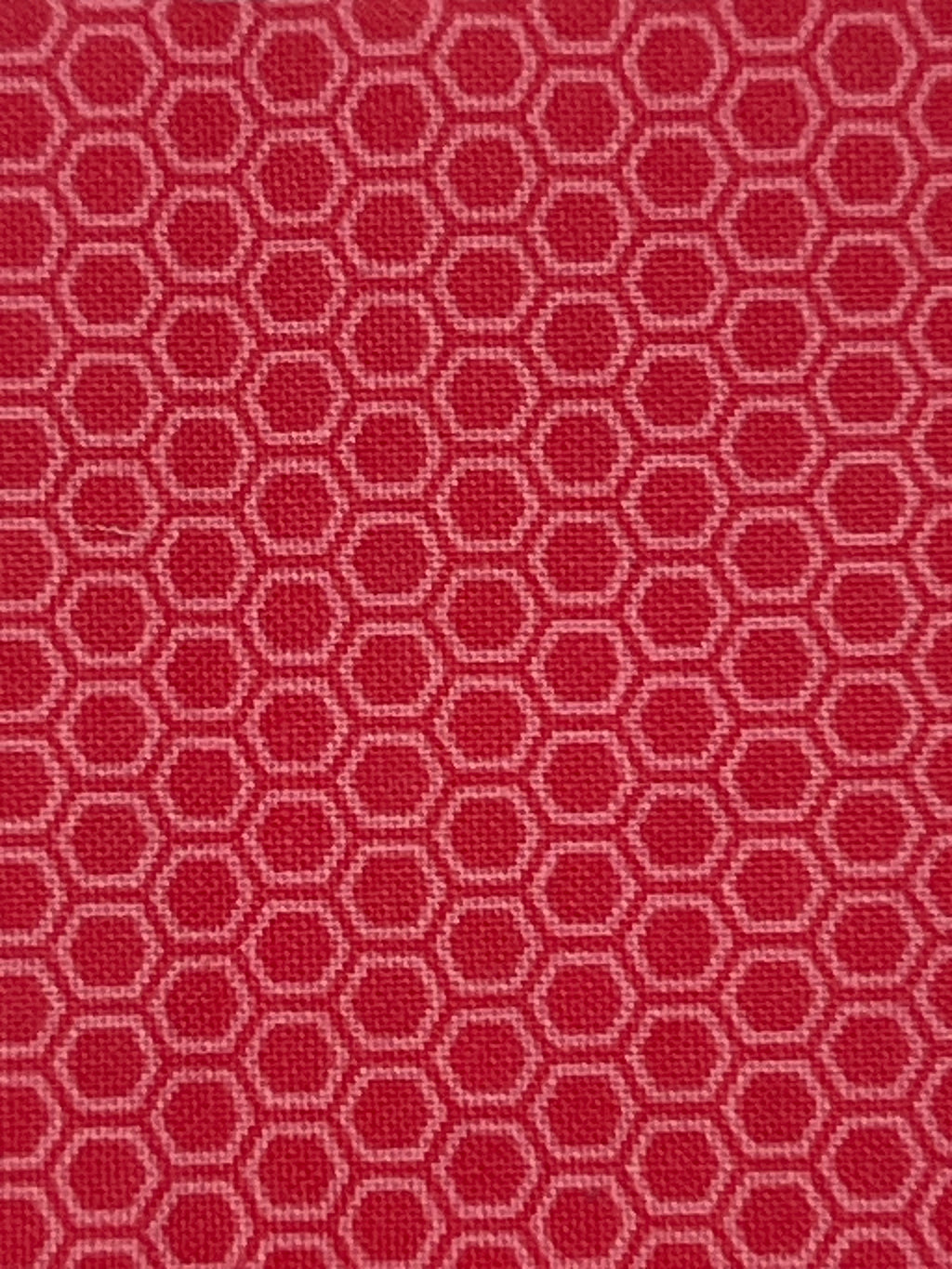Checkered Bunny