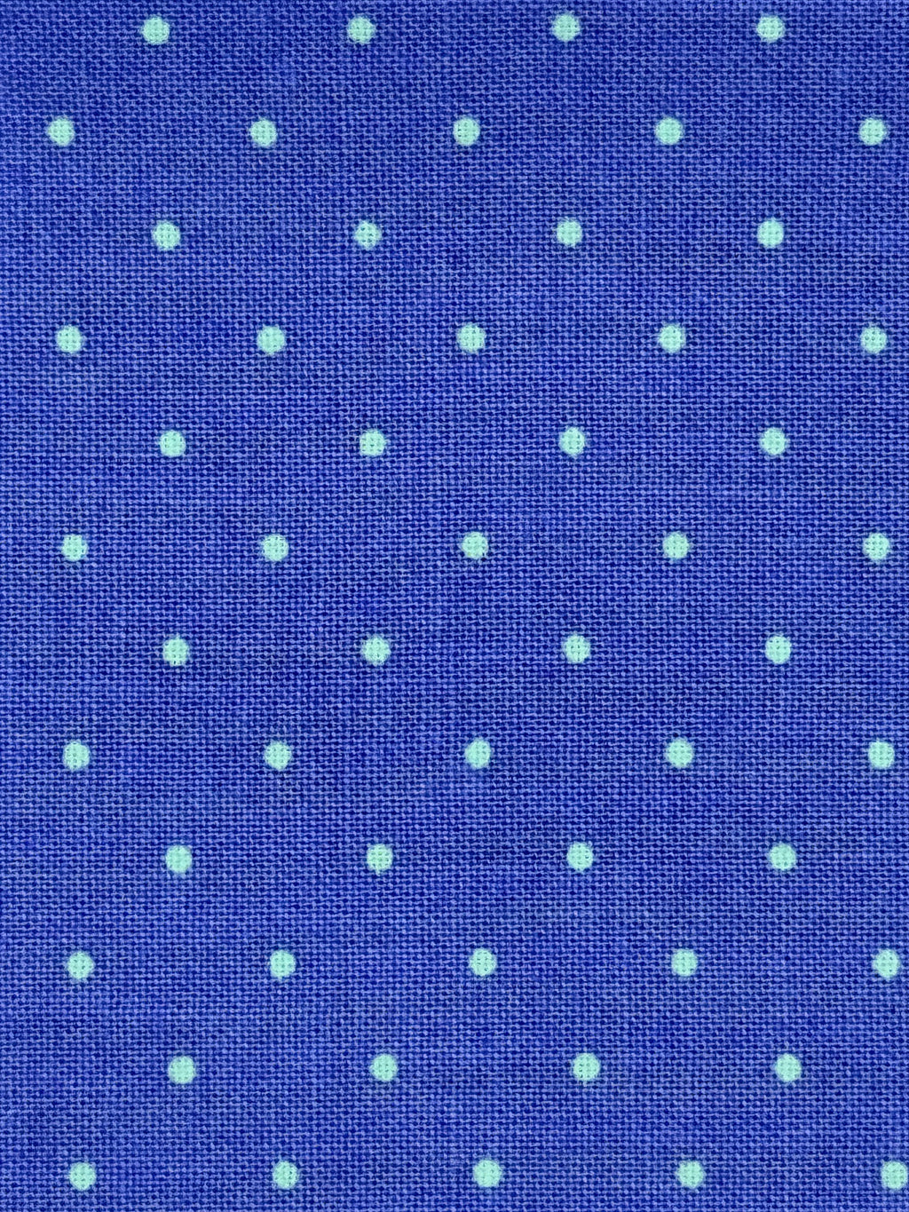 Polkadot Butterfly