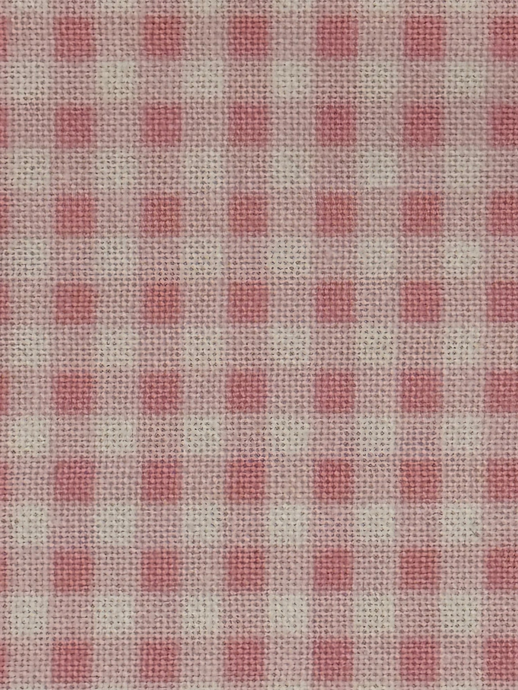 Pink Cottontail