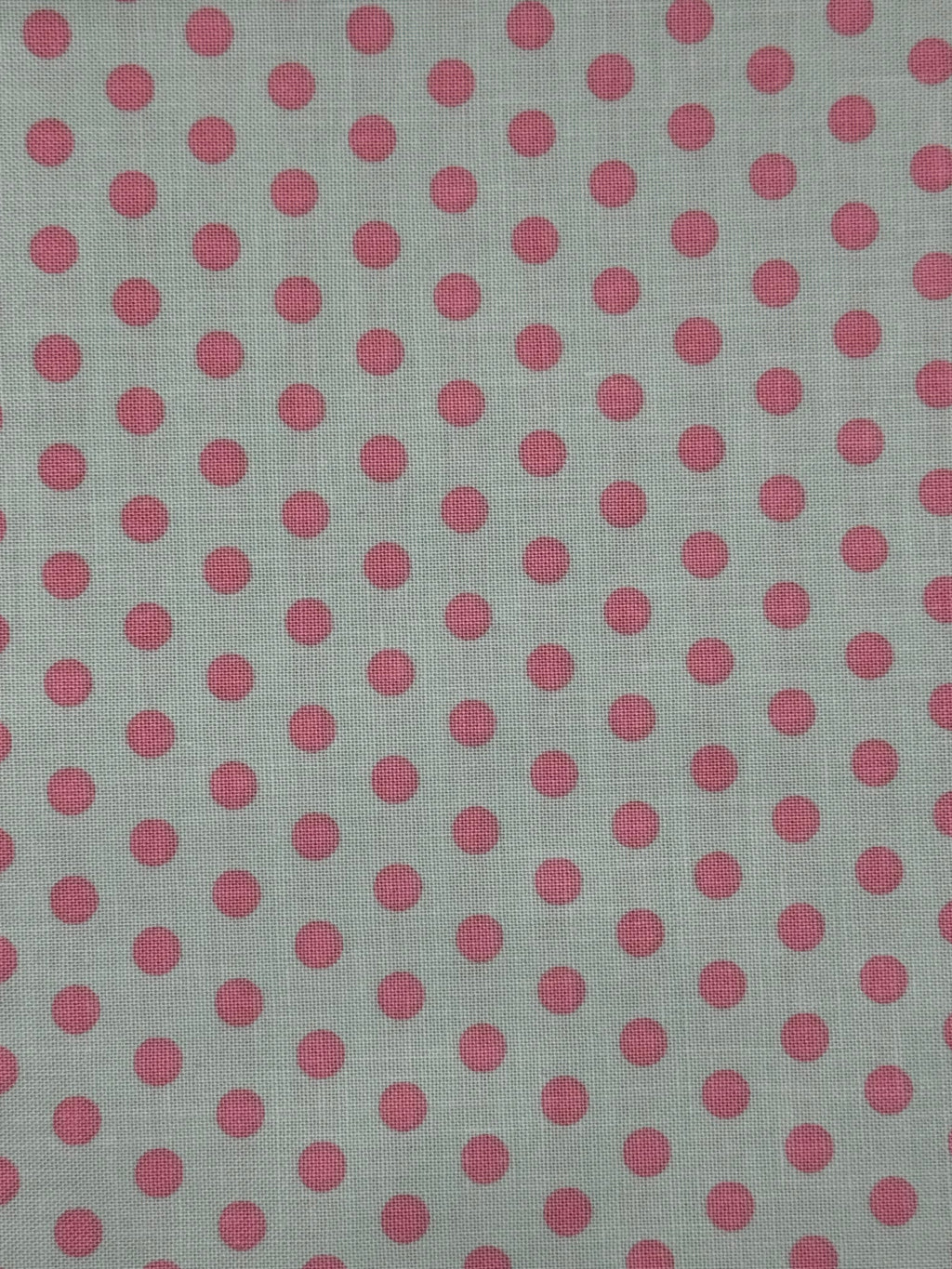 Polkadot Cottontail